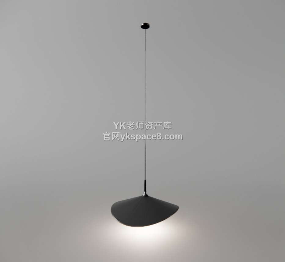 YK单头吊灯 (12)