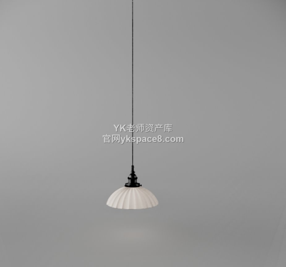 YK单头吊灯 (15)