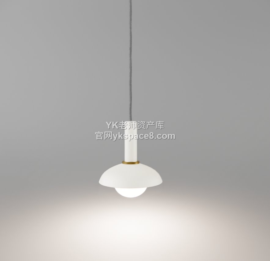 YK单头吊灯 (23)