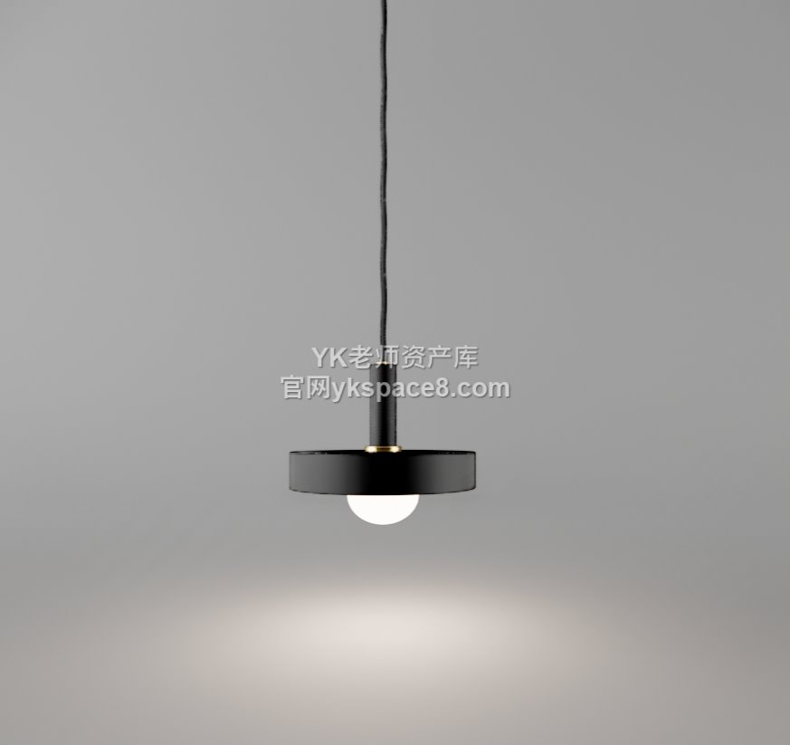 YK单头吊灯 (24)