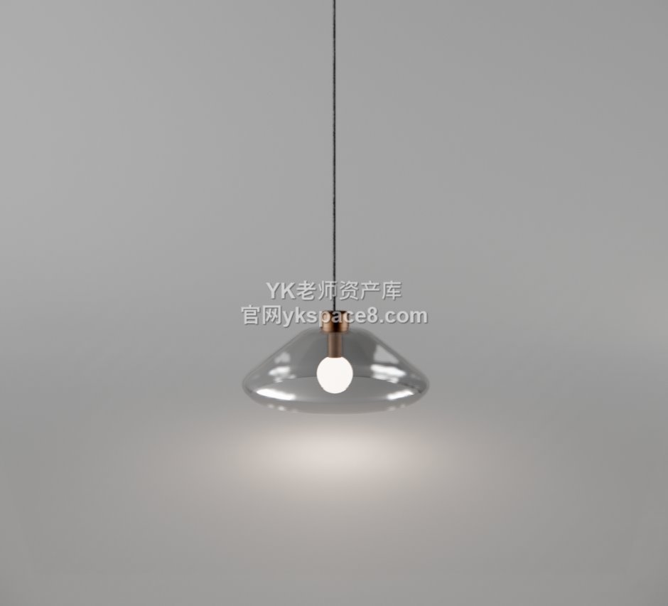 YK单头吊灯 (25)