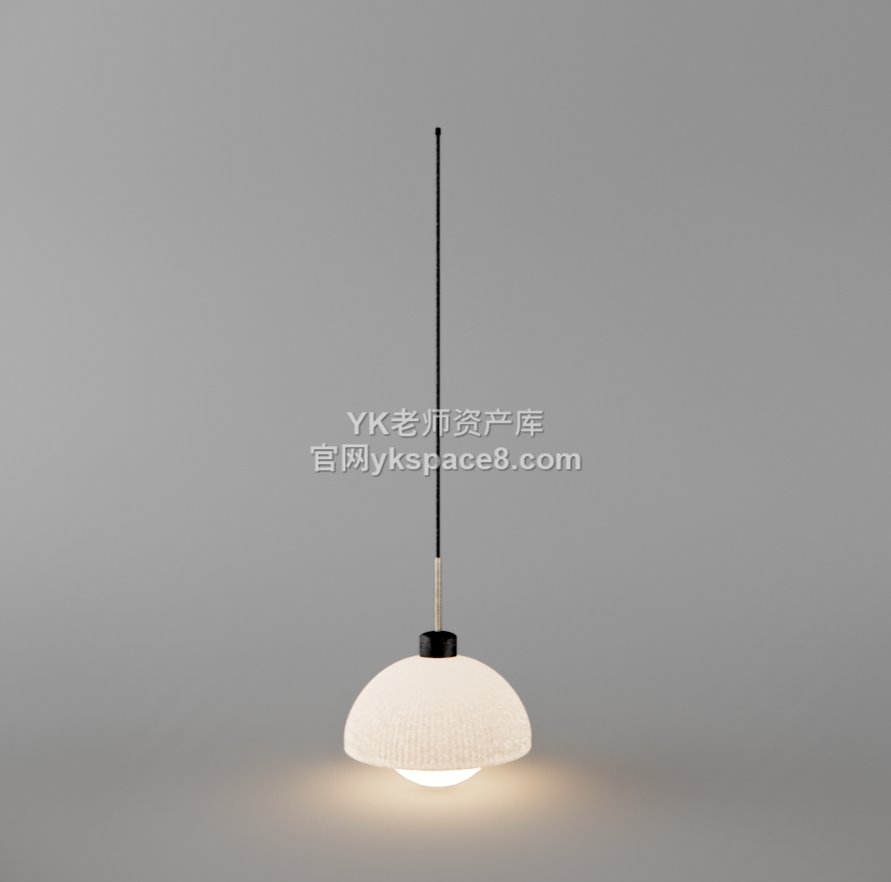 YK单头吊灯 (3)