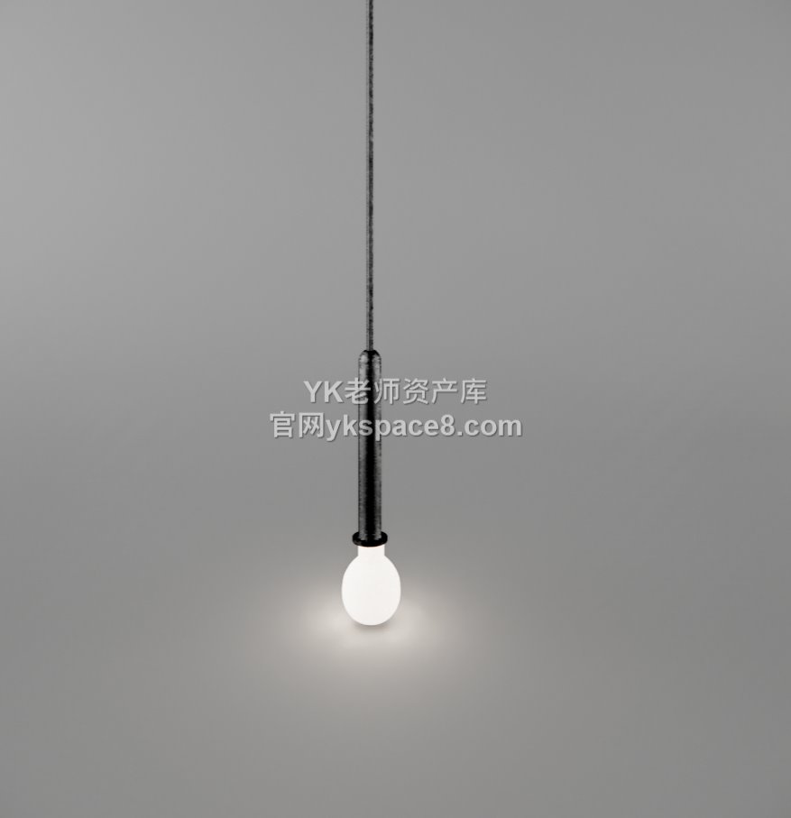 YK单头吊灯 (48)