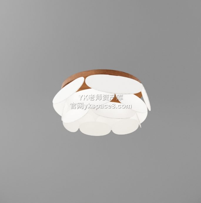 YK圆形吸顶灯 (10)