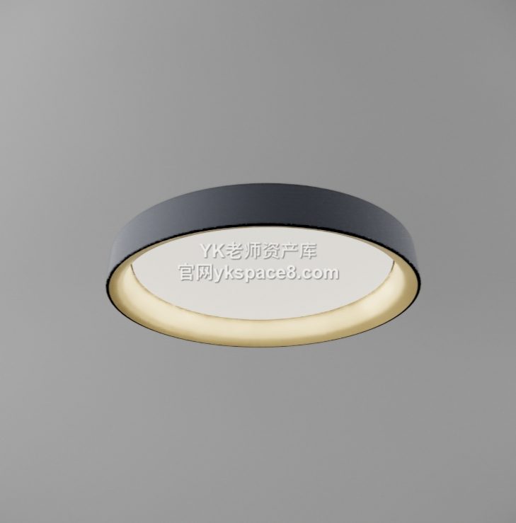 YK圆形吸顶灯 (13)