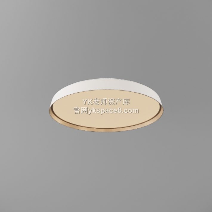 YK圆形吸顶灯 (17)