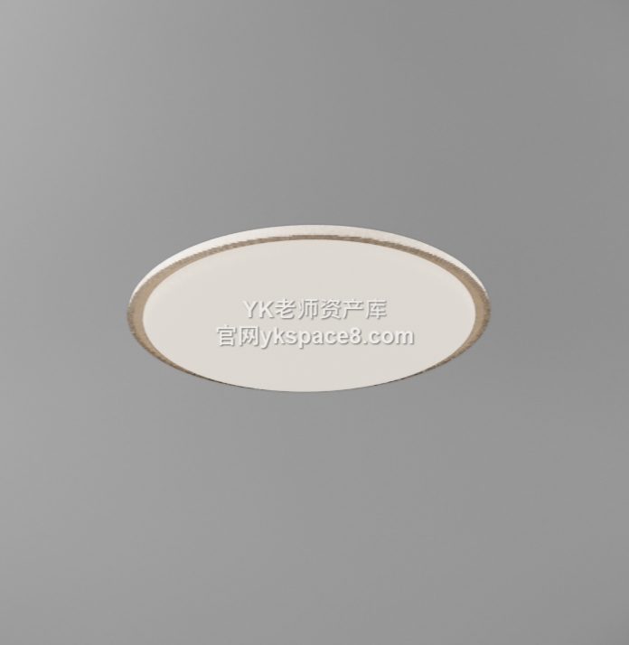 YK圆形吸顶灯 (20)