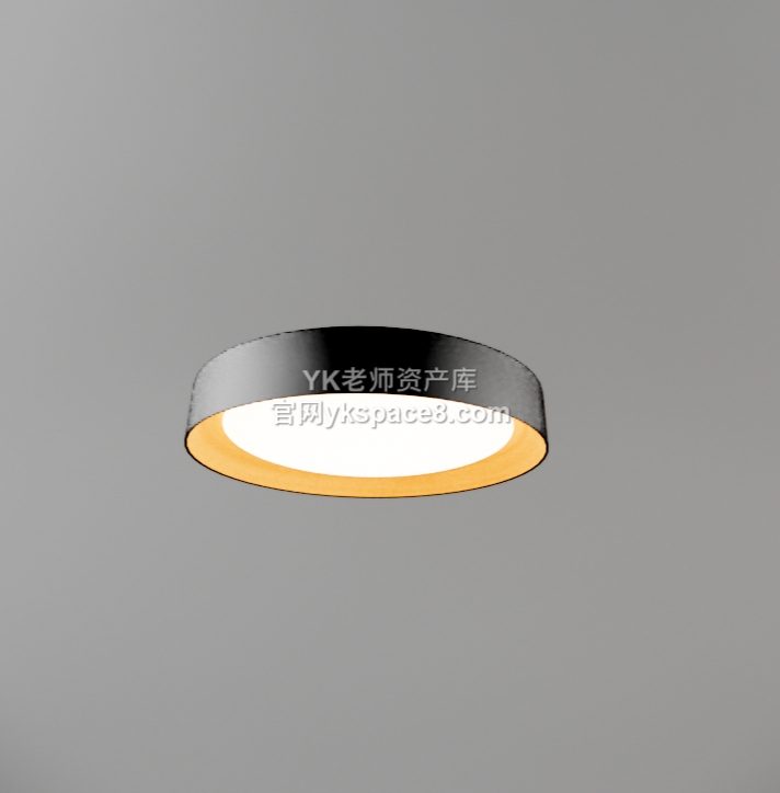 YK圆形吸顶灯 (33)