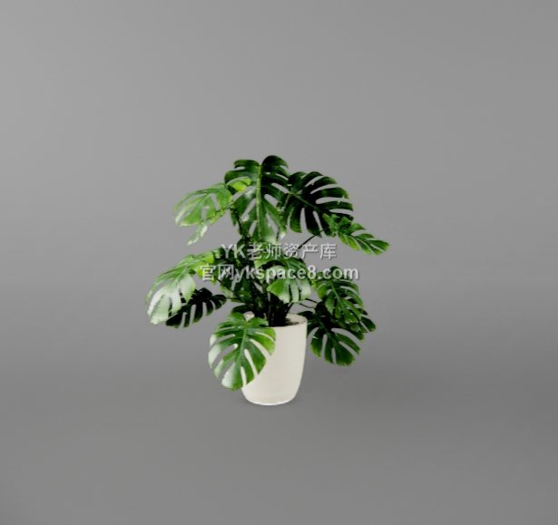 YK桌面绿植 (14)