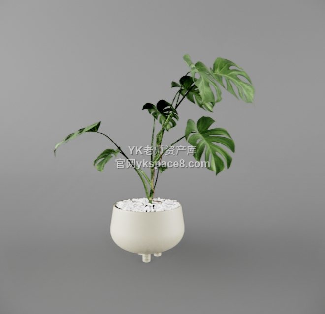 YK桌面绿植 (21)