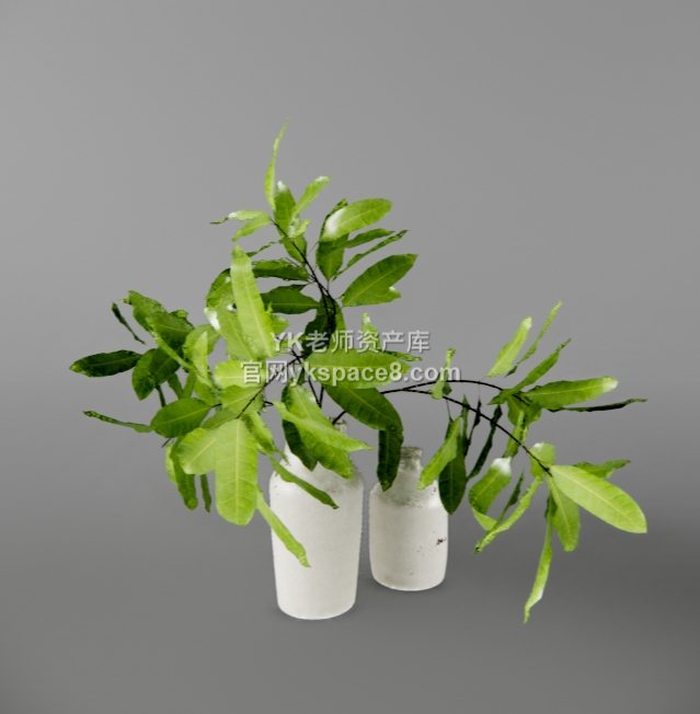 YK桌面绿植 (22)
