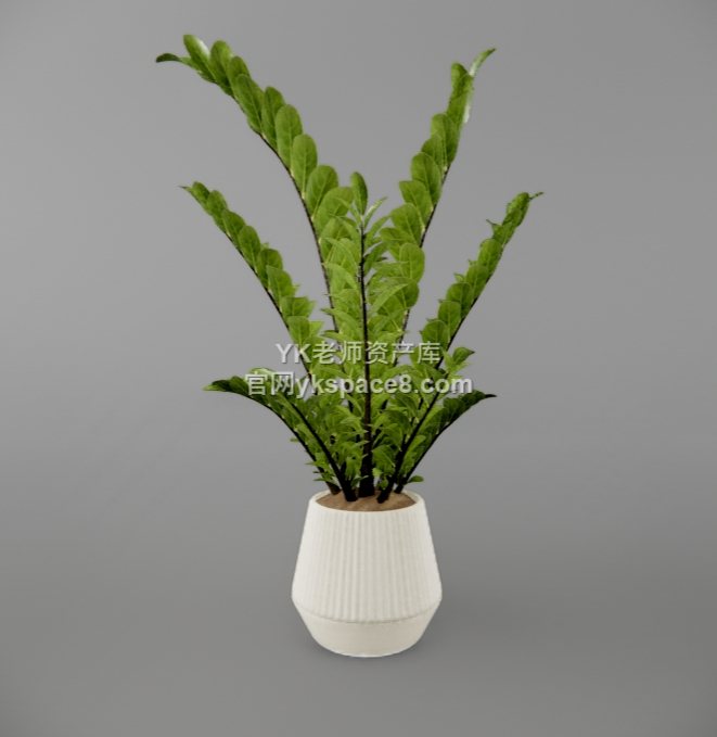 YK桌面绿植 (25)