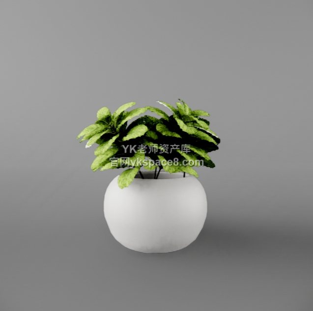 YK桌面绿植 (27)