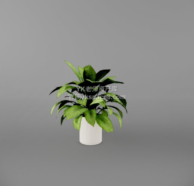 YK桌面绿植 (30)
