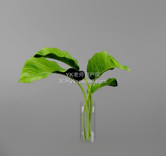 YK桌面绿植 (34)
