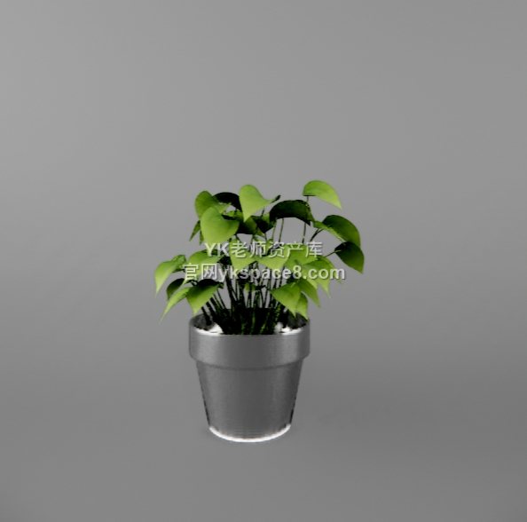 YK桌面绿植 (35)
