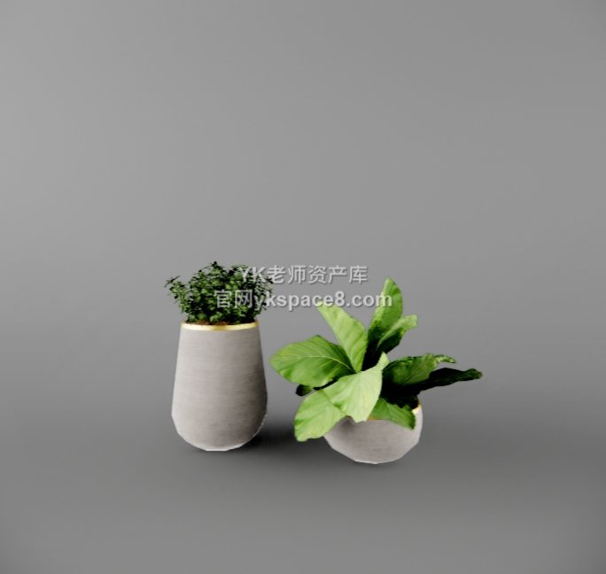 YK桌面绿植 (4)