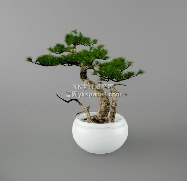 YK盆景 (19)